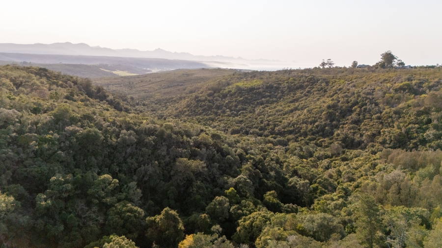 0 Bedroom Property for Sale in Harkerville A H Western Cape